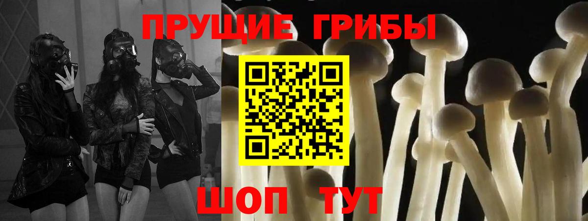 Королёв  Псилоцибиновые грибы MAGIC MUSHROOMS  Вход с VPN 